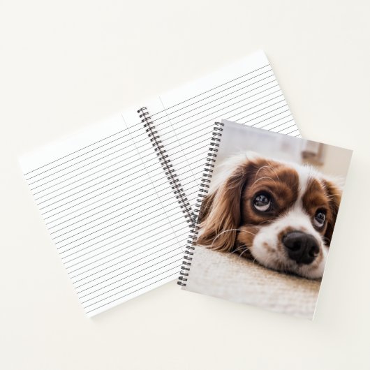 Sad-Mit Augen Cocker Spanierhund Notizblock (Innenseite)