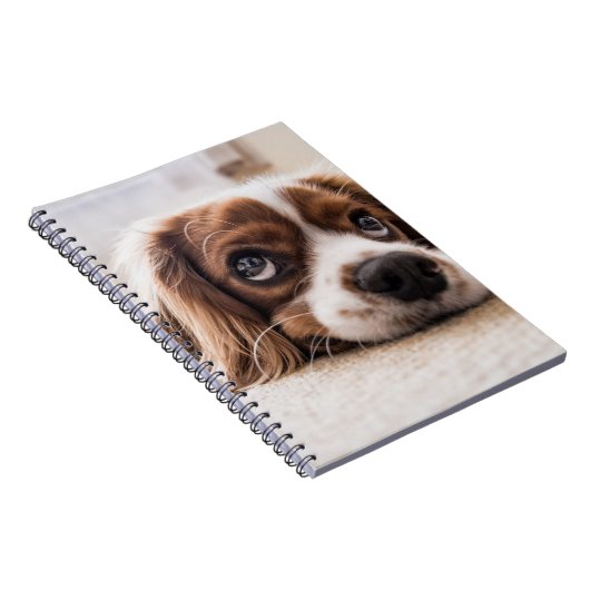 Sad-Mit Augen Cocker Spanierhund Notizblock (Rechte Seite)