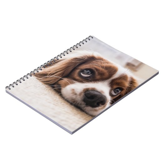 Sad-Mit Augen Cocker Spanierhund Notizblock (Linke Seite)