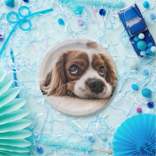 Sad-Mit Augen Cocker Spanierhund Pappteller (Party)