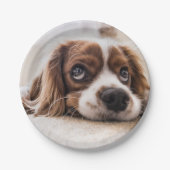 Sad-Mit Augen Cocker Spanierhund Pappteller (Vorderseite)