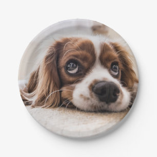 Sad-Mit Augen Cocker Spanierhund Pappteller