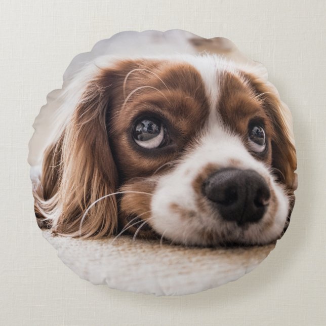Sad-Mit Augen Cocker Spanierhund Rundes Kissen (Vorderseite)