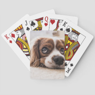 Sad-Mit Augen Cocker Spanierhund Spielkarten