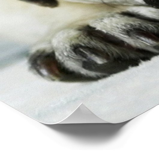 Sad Pug Puppy Dog Poster (Ecke)