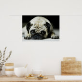Sad Pug Puppy Dog Poster (Küche)