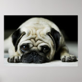 Sad Pug Puppy Dog Poster (Vorne)