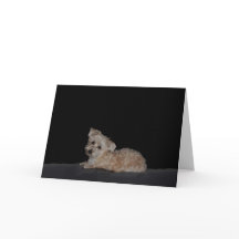 Sad Puppy Get Well Card