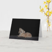 Sad Puppy Get Well Card Karte (Gelbe Blume)