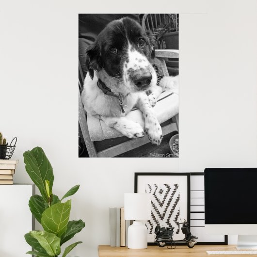 Sad Puppy Poster (Heimbüro)