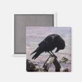 Sad Raven Magnet 01 (Vorderseite/Rückseite)