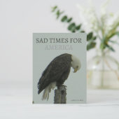 SAD TIMES FOR AMERICA - By - K. M. Kelly - Postkarte (Stehend Vorderseite)