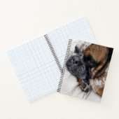 Sad Viktorianisch Bulldog-Foto 8x11-Notebook Notizblock (Innenseite)