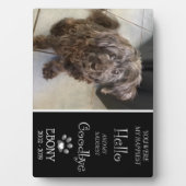 Saddest Goodbye Plaque (Singular) Fotoplatte (Vorderseite)