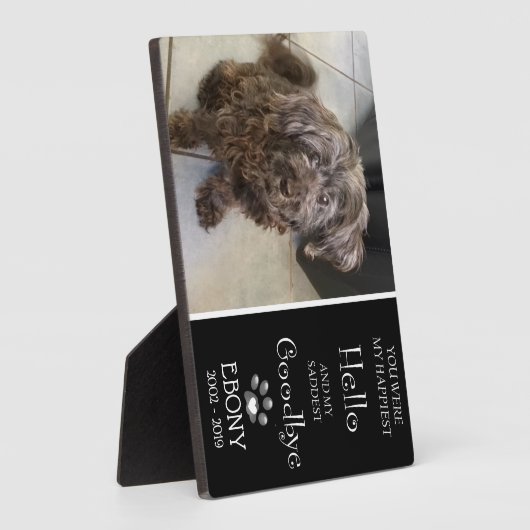 Saddest Goodbye Plaque (Singular) Fotoplatte (Seite)