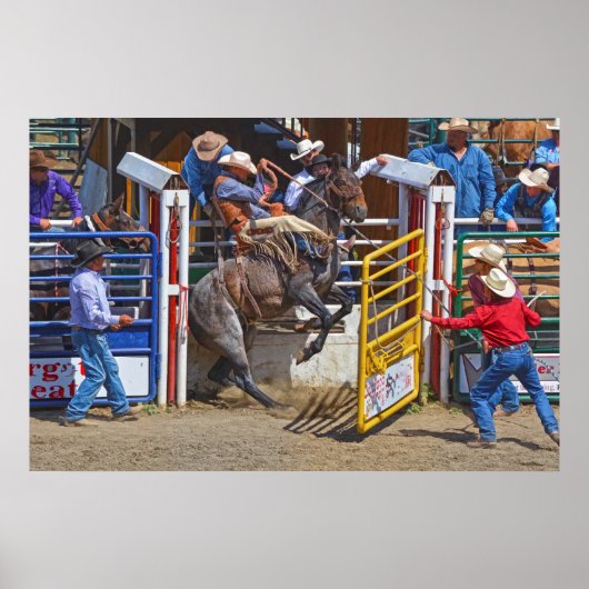Saddle Bronc Breaking Out of Rodeo Chute w Cowboy Poster (Vorne)