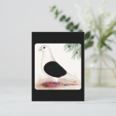 Saddle Homer Pigeon Postkarte (Stehend Vorderseite)