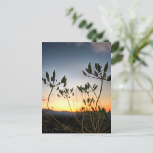 Saddle Rock Sunset Postkarte (Stehend Vorderseite)