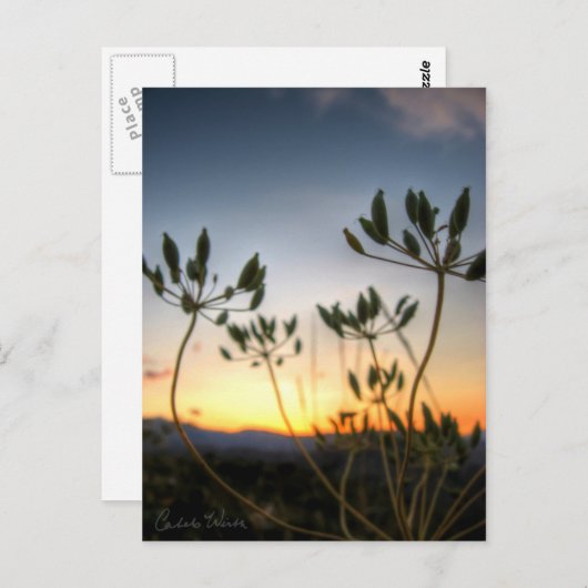 Saddle Rock Sunset Postkarte (Vorne/Hinten)