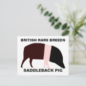 Saddleback Pig individuell anpassbare Postkarte (Stehend Vorderseite)