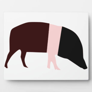 Saddleback Pig Plaque Fotoplatte