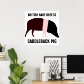 Saddleback Pig Poster (Heimbüro)