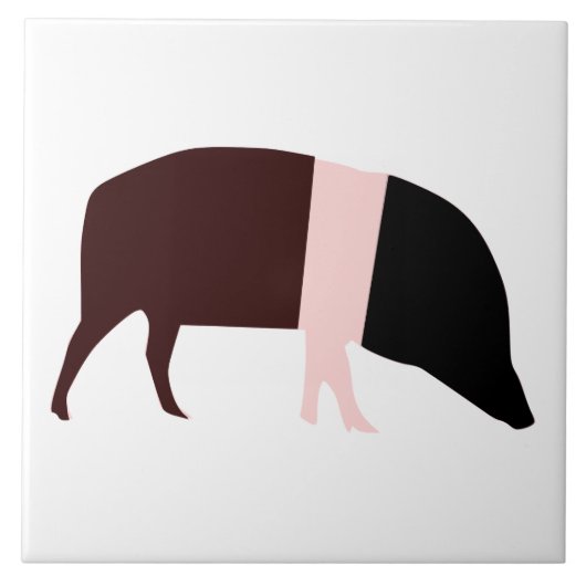 Saddleback Pig Tile Fliese (Vorderseite)