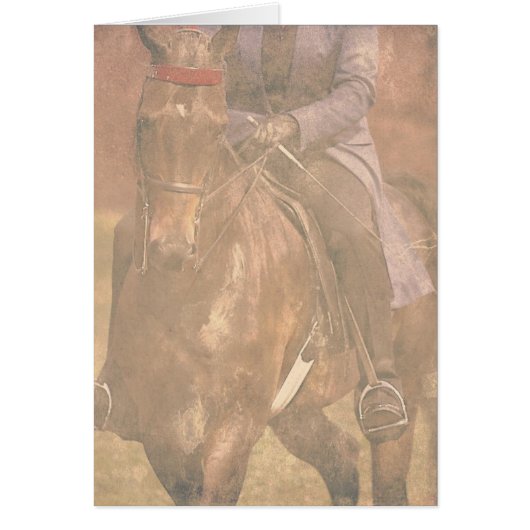 Saddlebred Dreams (Vorne)