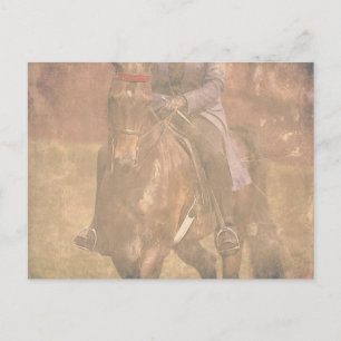 Saddlebred Dreams Postkarte