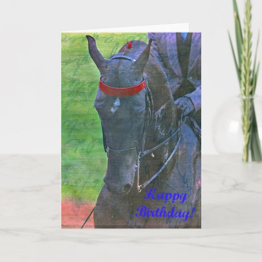 Saddlebred Geburtstag Karte (Vorderseite)