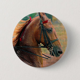 Saddlebred-Imitate-Malerei Button