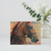 Saddlebred-Imitate-Malerei Postkarte (Stehend Vorderseite)