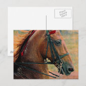 Saddlebred-Imitate-Malerei Postkarte (Vorne/Hinten)