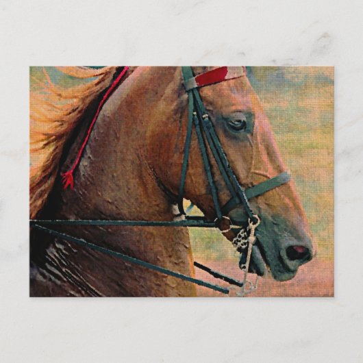 Saddlebred-Imitate-Malerei Postkarte (Vorderseite)