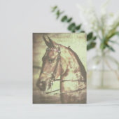 Saddlebred Pferd Postkarte (Stehend Vorderseite)