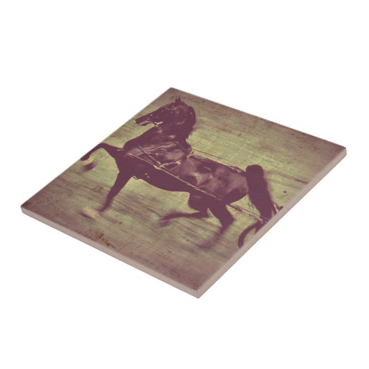 Saddlebred Song Fliese (Seite)