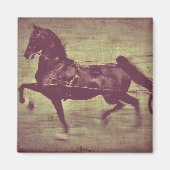 Saddlebred Song Magnet (Vorne)