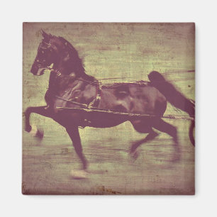 Saddlebred Song Magnet