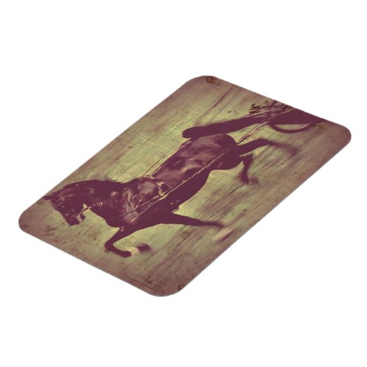 Saddlebred Song Magnet (Linke Seite)