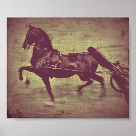 Saddlebred Song Poster (Vorne)