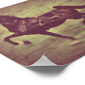 Saddlebred Song Poster (Ecke)