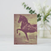 Saddlebred Song Postkarte (Stehend Vorderseite)