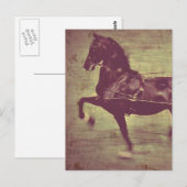 Saddlebred Song Postkarte (Vorne/Hinten)
