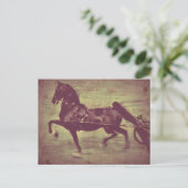 Saddlebred Song Postkarte (Stehend Vorderseite)