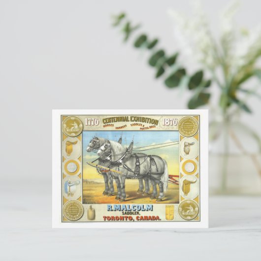 Saddler Centennial Exposition Werbung Postkarte (Stehend Vorderseite)