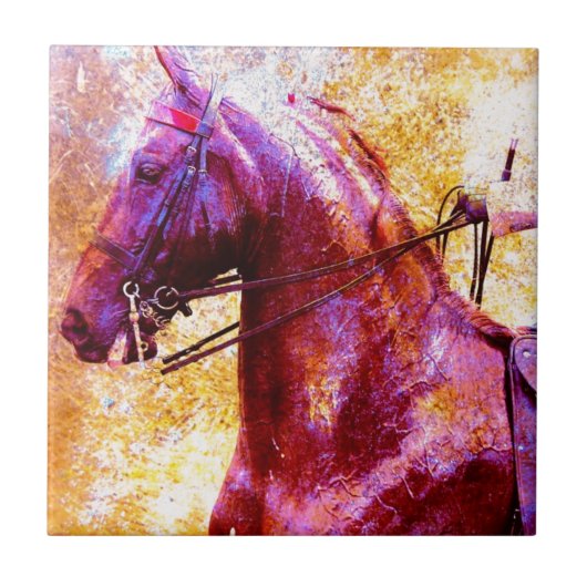 Saddleseat Grunge Fliese (Vorderseite)