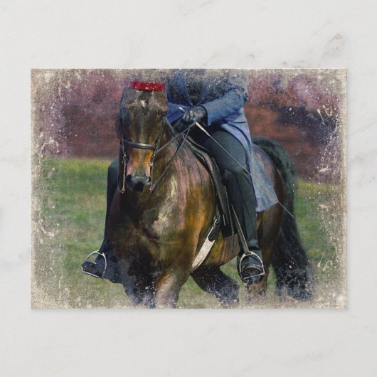 Saddleseat Postkarte (Vorderseite)