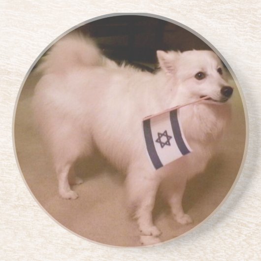 Sadie, der jüdische Hund Untersetzer (Vorne)