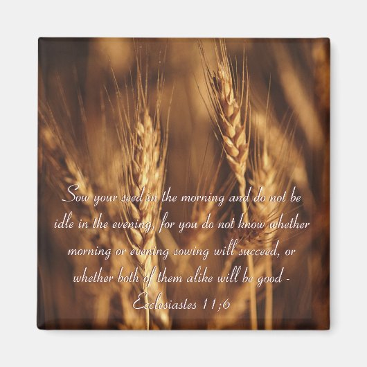 säen Sie Ihre Samen...-Magnet Magnet (Vorne)