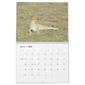 Safari 1 kalender (Mär 2026)